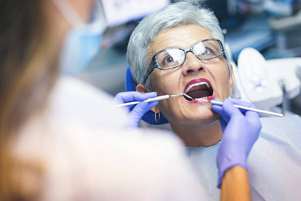 Reliable St Clair, MI  Holistic Dental Services Solutions